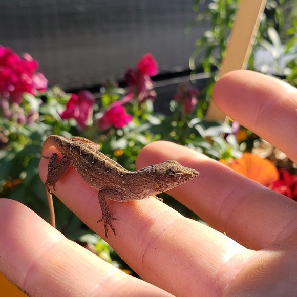 Hi, I'm Tiff: - Picture 3 of 13